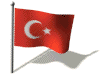 Turk Bayrağı 